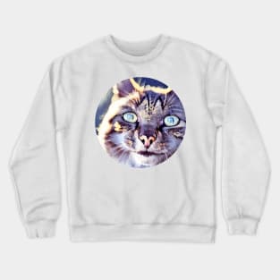 Beloved mycat, revolution for cats Crewneck Sweatshirt